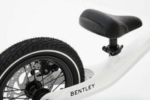 Bentley Luxury Balance Bike Ross Art.BB1 Red  Детский велосипед - бегунок с металлической рамой