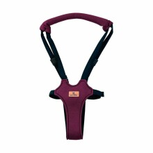 Lorelli  Safety Harness Step By Step Art.10010140001 Dark Red Pavadiņas/drošības siksnas