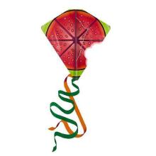Colorbaby Toys Plastic Kite Art.44928