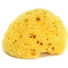 OK Baby Nat. Sea Sponge Fine Dama №14 Art.38481400