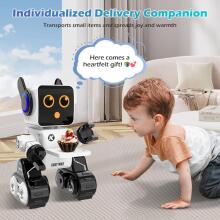 Anysun Intelligent RC Robot with Touch Art.138327 Intelligent radio-controlled robot with touch control