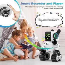Anysun Intelligent RC Robot with Touch Art.138327 Intelligent radio-controlled robot with touch control
