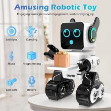 Anysun Intelligent RC Robot with Touch Art.138327 Intelligent radio-controlled robot with touch control