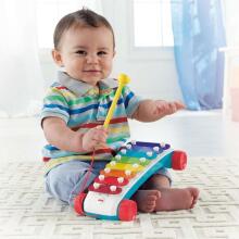 Fisher Price Xylophone Art.CMY09  Muzikāla rotaļlieta ksilofons