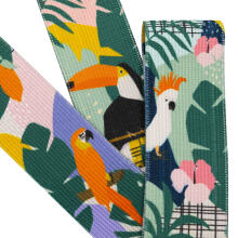 Spokey HOME JUNGLE  Art. 941519 набор фитнес-резинок