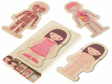 Ikonka Art.KX5957 Koka daudzslāņaina puzle ķermeņa veidošanas montessori meitene