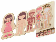 Ikonka Art.KX5957 Puidust mitmekihiline puzzle keha ehitamine montessori tüdruk