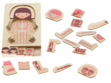Ikonka Art.KX5957 Medinė daugiasluoksnė dėlionė kūno formavimas montessori mergaitė