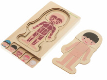 Ikonka Art.KX5957_1 Koka daudzslāņaina puzle montessori ķermeņa veidošanas zēns