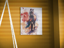 Ikonka Art.KX5549 Gleznošana pēc skaitļiem attēls 40x50cm zirgs