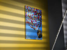 Ikonka Art.KX5549_4 Gleznošana pēc skaitļiem attēls 40x50cm balons
