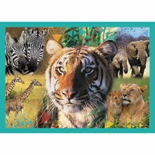 TREFL Puzzle Animals 4 in 1 set 35 48 54 70 pcs