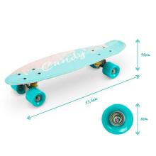 Qkids Galaxy Penny Board Art.DESK00004 Feather Bērnu skrituļdēlis