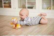 Tiny Love Rolling Toys Leonardo Art.TL1115900458R  Игрушка-каталка Львёнок