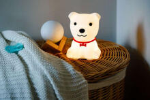 InnoGio Gio Dog Art.GIO-125