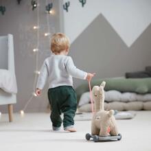 Done by Deer Pull along 2-in-1 toy Lalee Sand