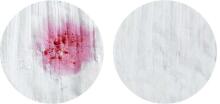 Stain Off Professional Cleaner Art.151564
