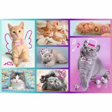 TREFL puzzle Kittens 60 pcs