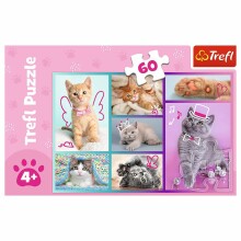TREFL puzzle Kittens 60 pcs