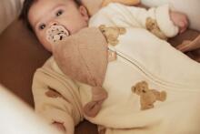 Jollein With Removable Sleeves Art.016-548-66095 Teddy Bear - спальный мешок с рукавами 70см