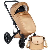 Dada Prams Max 500 Art.153420 Golden Rose Bērnu rati (ratiņi)- mūsdienīgi /daudzfunkcionāli  2 vienā