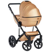 Dada Prams Max 500 Art.153420 Golden Rose Bērnu rati (ratiņi)- mūsdienīgi /daudzfunkcionāli  2 vienā