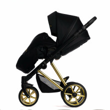 Dada Prams Nexus Individual Line Art.153446 Golden Blis  Детская универсальная коляска 2 в 1