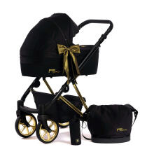 Dada Prams Nexus Individual Line Art.153446 Golden Blis  Детская универсальная коляска 2 в 1
