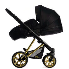 Dada Prams Nexus Individual Line Art.153446 Golden Blis  Детская универсальная коляска 2 в 1