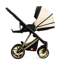 Dada Prams Nexus Individual Line Art.153447 Blossom Bērnu universālie ratiņi (rati)  2 vienā