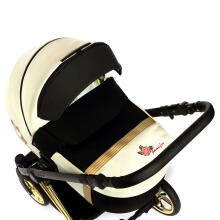Dada Prams Nexus Individual Line Art.153447 Blossom Bērnu universālie ratiņi (rati)  2 vienā