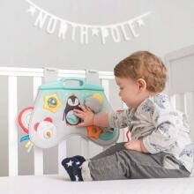 Taf Toys Play Center Art.12265 Attīstošā rotaļlieta