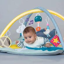 Taf Toys Musical Gym Art.248911 Развивающий коврик  с игрушками со  звуковыми эффектами