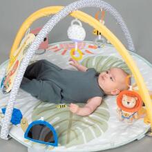 Taf Toys Musical Gym Art.253937