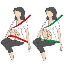 BeSafe' Pregnant Belt Izi Fix Art.1001012300
