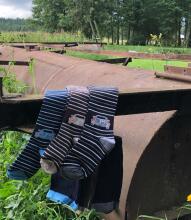 Weri Spezials Bērnu Zeķubikses Cars and Stripes Marine ART.SW-2058 Augstas kvalitātes bērnu kokvilnas trīs zeķubikšu pāru komplekts zēniem