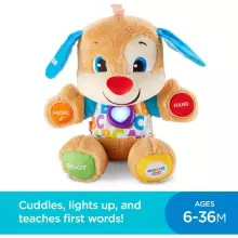 Fisher Price Laugh and Learn Russian Learning Puppy Art. FPN77  Learned Interactive Puppy/Doggy (English)
