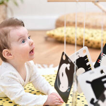 Banana Panda High Contrast Flash Cards on a Ring Art.03970 Liela kontrasta zibatmiņas kartes uz gredzena (10gab.)