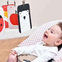 Banana Panda High Contrast Baby Pack Art.77376  двусторонние контрастные карточки
