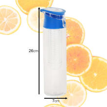 Ikonka Art.KX4391_3 Water bottle with fruit insert 800ml blue