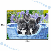 Ikonka Art.KX4365 CASTORLAND Puzzle 1000 elements French Bulldog Puppies - French Bulldogs 68x47cm