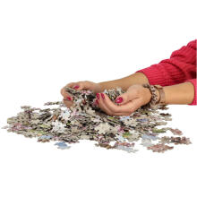 Ikonka Art.KX4739 CASTORLAND Puzzle 1000 elementu Romantiska pastaiga Parīzē 68x47cm