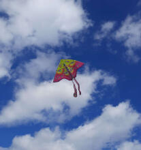 Ikonka Art.KX9672_2 Large kite 90cm butterfly purple