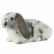 Keycraft Living Nature Dutch Lop Eared Rabbit Art.AN316G Grey Mīkstā rotaļlieta