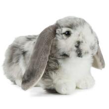 Keycraft Living Nature Dutch Lop Eared Rabbit Art.AN316G Grey Мягкая игрушка