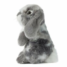 Living Nature Sitting Lop Eared Rabbit Art.AN345G Grey  Мягкая игрушка