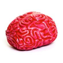 Keycraft Squidgy Brain Art.NV459 Silikona antistresa rotaļlieta