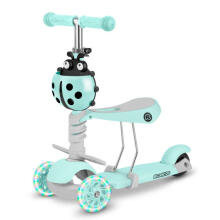 Ricokids Buggy Art.163368 Mint Three-wheeled scooter