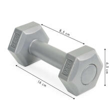Fitnesa hanteles komplekts ar 2x 0,5kg hantelēm