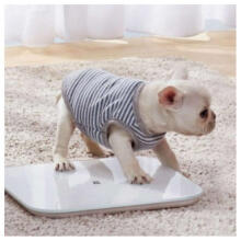 XIAOMI Mi Smart Scale 2 White